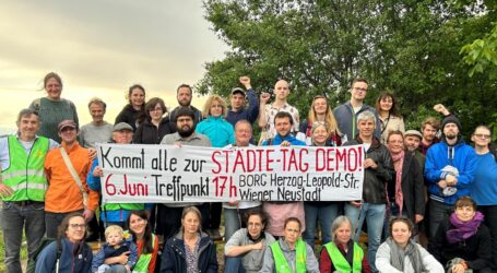 Demotag in Wiener Neustadt am 6. Juni