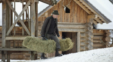 Staatspreis Wald sucht innovative Waldbewirtschafter