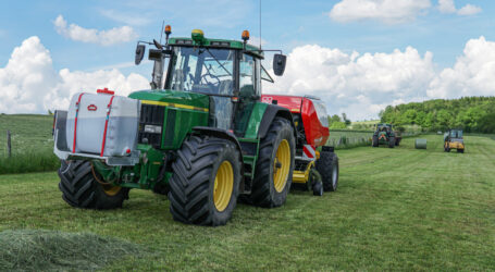 Raufutter gelingt besser mit EMIKO