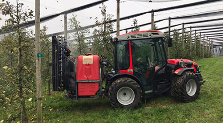 8. ÖKL-Kurstag in der Reihe BeeP!