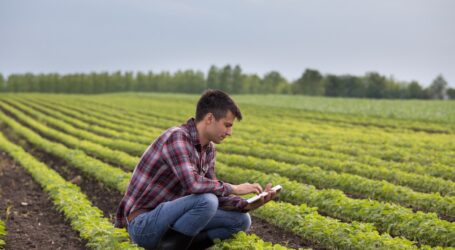 Digitale Lagerhaus-Filiale immer beliebter