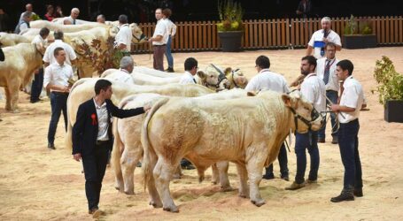 Sommet d’Elevage: Fixpunkt der Tierzucht