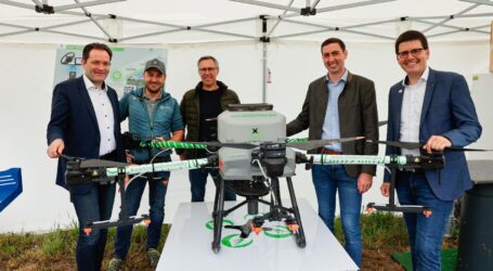 Festival des Bodens voller Erfolg