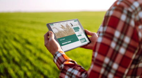 Website von DIE SAAT mit Chatbot