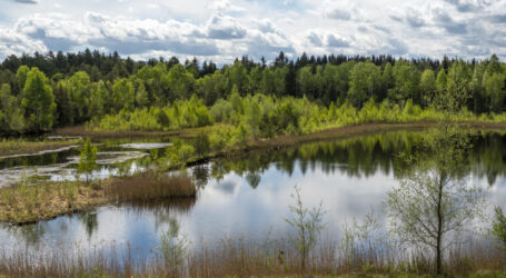 UBV ortet Versäumnisse der Interessensvertreter