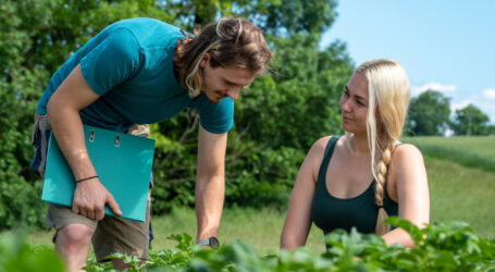 Erdäpfel-Züchtung fördert Erfolg der TV-Beilage