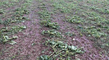 Hitze mündete in Unwetter
