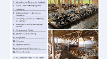 ÖKL-Merkblatt über Boxenlaufstall