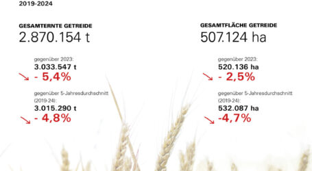Getreideernte 2024 wahrscheinlich mittelmäßig