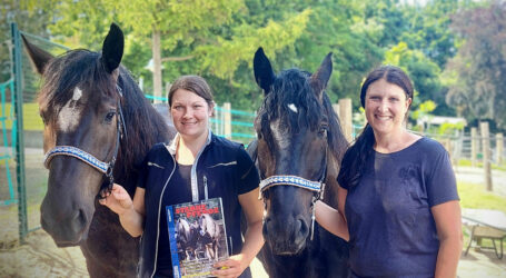 Lehrpferde im Zugpferdemagazin vertreten