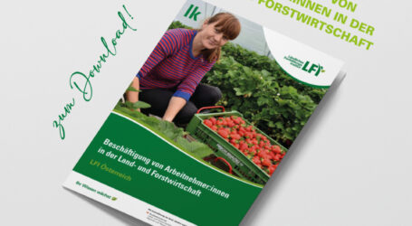 Broschüre „Beschäftigung von Arbeitnehmer:innen“ nun online