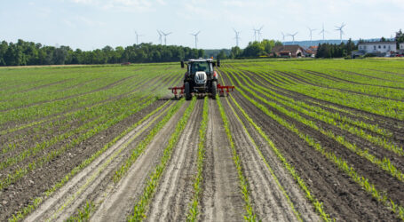 Wachstum am Markt für Bio-PSM