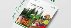 Broschüre „Energie aus Holz“ gratis verfügbar