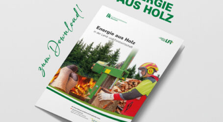 Broschüre „Energie aus Holz“ gratis verfügbar