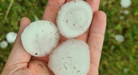 Hagelversicherung: Superzelle schädigt Landwirte