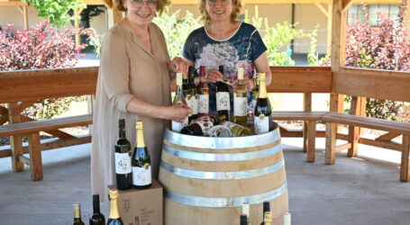 NÖ Landesweine glänzend abgeschnitten