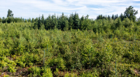 Klimaschutz bedarf unterstützter Migration