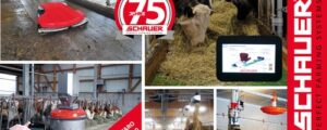 Schauer bringt Neues zur Welser Herbstmesse