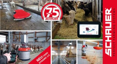 Schauer bringt Neues zur Welser Herbstmesse