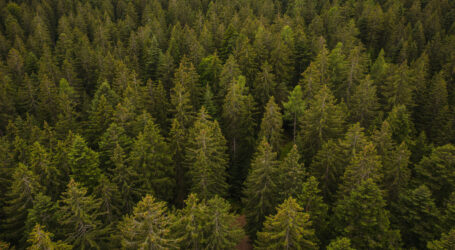 BFW begeht den 150er