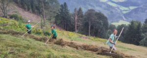 Umweltbaustelle der Alpenvereinsjugend in Molln
