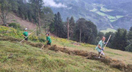 Umweltbaustelle der Alpenvereinsjugend in Molln
