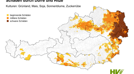 Agrarische Schadensbilanz 2024 bereits bei 200 Mio. €