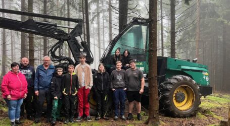 Harvester bei Holzernte im Wald