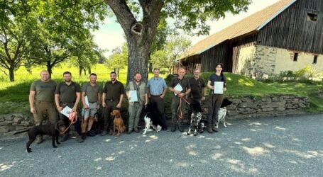 Mensch-Jagdhundgespanne gegen ASP