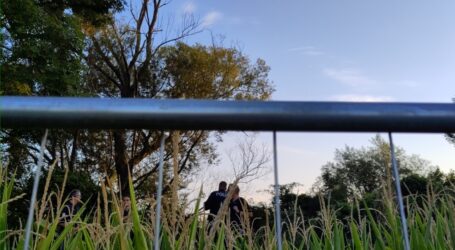 Heute Kundgebung gegen Rodung in Fischa-Au