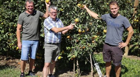 Standpunkte des UBV Steiermark