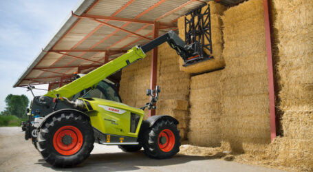 Diese Scorpione machen einen Stich