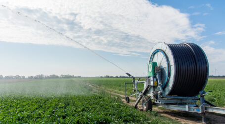 Österreichs Nordosten dürstet nach Bewässerung