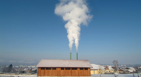 UBV Salzburg will mehr Biomasse-Kraftwerke