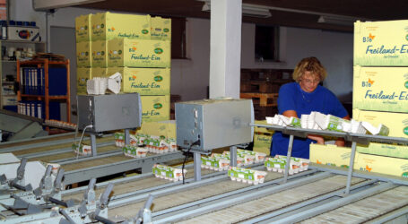 Ist ein Bio-Ei wirklich ein Bio-Ei?