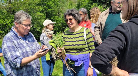 ÖKL bittet zu sechs kostenlosen Vielfalt-Terminen
