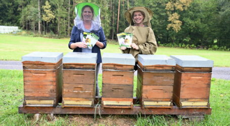 Imkerschule eröffnet Kursherbst