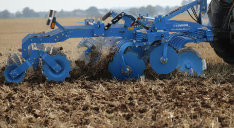 Lemkens RUBIN 10 hat was drauf