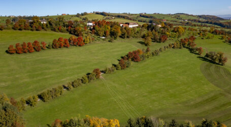 Arche Noah Obstfest am Wahlvortag