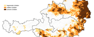 Die Welt brennt, auch in Österreich