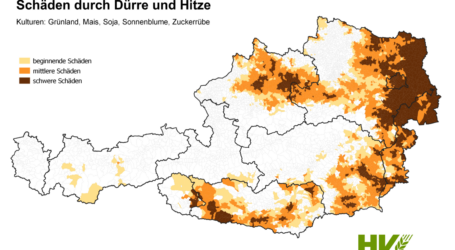 Die Welt brennt, auch in Österreich