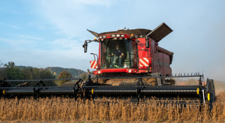 Sojawirtschaft ortet Mängel bei Entwaldungs-VO