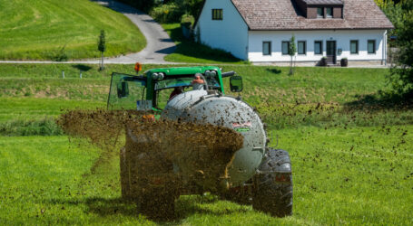 UBV richtet Offenen Brief an Minister Totschnig