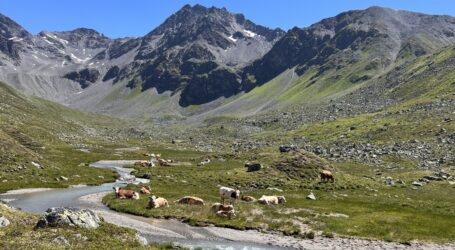 Die Staumauer in der Salatschüssel
