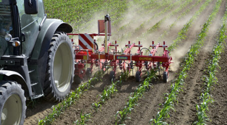 Droht Blockade bei Pflanzenzucht?