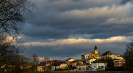 Sozialer Wohnbau ohne Holz bedenklich