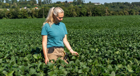 Münchner Patentamt verhandelt Einspruch
