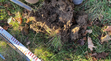 ÖKL Webinar zu Bodenanalysen