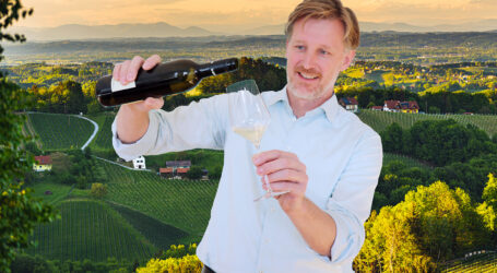 Martin Palz neuer steirischer Weinbauchef