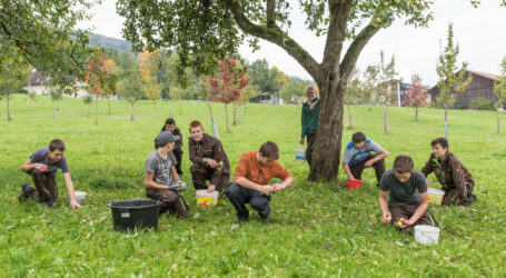 Umfrage zu Wildobst im Laufen
